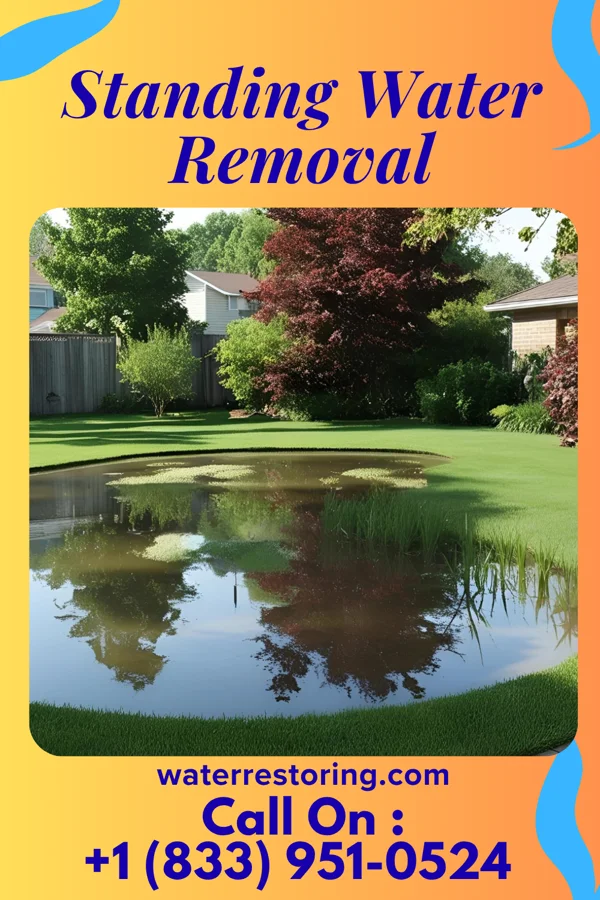 Standing Water Removal in Salado, TX